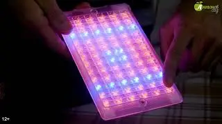 Фитосветильник для выращивания рассады и прочих растений Чистон Фито