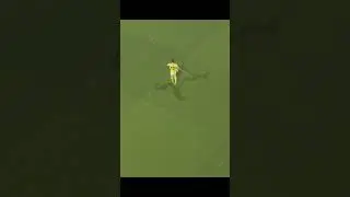 dls22 Solo goal buy jahanbaghsh