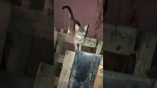 Сделали летний душ