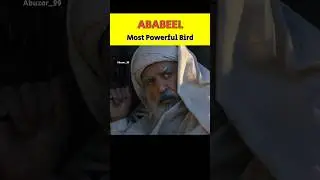ABABEEL Most powerful bird 🕊️ | Abuzar_99 | #shorts #islam