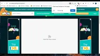 Flash player in chrome
