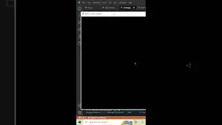 Turtle Program in Python 