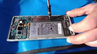 Samsung Galaxy S10 Teardown in the forest