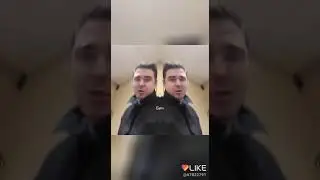 Бич