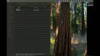 PaperWM.spoon | macOS Sequoia | Scrolling Tiling Window Manager