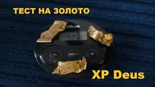 ТЕСТ XP Deus на золото.