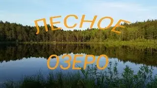 GEOCACHING.Путешествие к лесному озеру