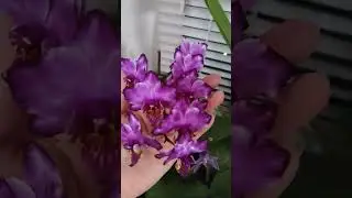 ВО ВСЕЙ КРАСЕ 💕