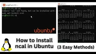 How to Install ncal in Ubuntu | cal command not working in Linux Ubuntu (3 Methods)