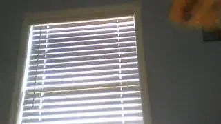 Porn