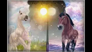 Клип в Стар Стейбл Онлайн/ Star Stable Clip/ Любимая дочка