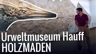 Urweltmuseum Hauff - HOLZMADEN