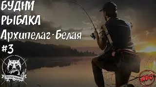 РЫБАЛКА С Z-B-G #3 -  RUSSIAN FISHING 4 🐟ОБЩЕНИЕ - РОЗЫГРЫШ🔥