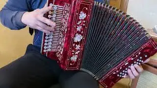 «Соловьиная роща» на гармони
