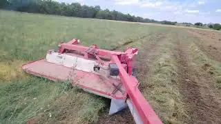Всё ещё кошу первый укос в институте земледелия сенокосилка Pottinger