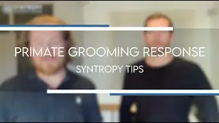 Primate Grooming Response - Syntropy Chiropractic Training