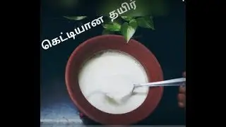Perfect Curd In a Pot| Thick| Yogurt| Dahi|Cleaning Pots| How to make|Set thick curd?|(Recipe # 219)