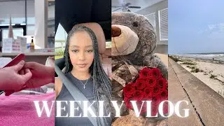 WEEKLY VLOG | mini road trip, maintenance, why I don’t like Houston nightlife, clean with me