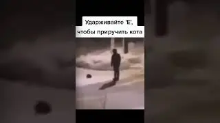 Мемас из ТикТока #смех #ржака #юмор  #мемы #жиза #смешно #угар #прикол #весело #шутки #shorts
