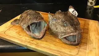 Catch & Cook: LINGCOD HEADS!