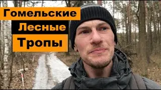 Лесные тропинки Спортивное ориентирование в Гомеле