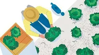 Supply Chain Software – 2D Animated Explainer Video