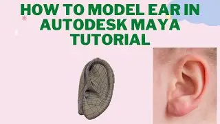 How to model Ear in Maya