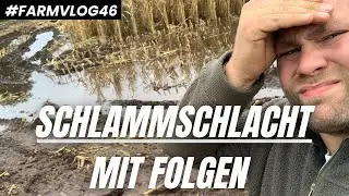 Schlammschlacht in der Maisernte + die Konsequenzen 😵‍💫 VLOG 46