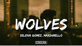 Selena Gomez, Marshmello - Wolves {Lyrics}
