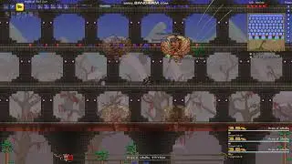 Terraria Calamity | Brain of Cthulhu | 3 Musketeers Challenge?