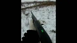 Красивый момент...