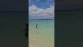 PROSES PENYELAMATAN JUTAAN IKAN #614