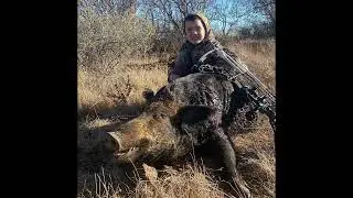 Tate Miles Bow Kills