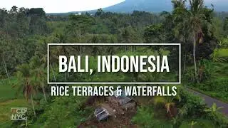 Bali's Enchanting Treasures: Rice Terraces, Banyumala Twin Waterfalls, and Twin Lakes