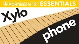 Montessori Essentials: Xylophone