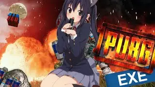 PUBG.EXE meow