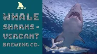 Beer Review №1059  England - Whale Sharks - Verdant Brewing Co. - DIPA 8.4% ABV