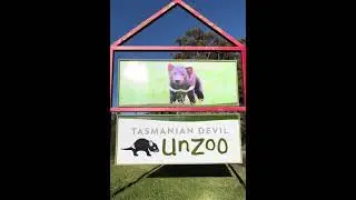 Visiting Tasmanian Devil Unzoo