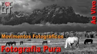 Straight Photography ou Fotografia Pura - Movimentos Fotográficos