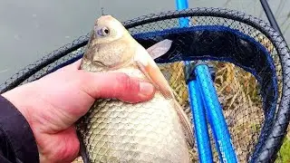 ЛОВЛЯ КАРАСЯ НА ФІДЕРОК)