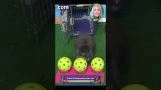 Can She Do It?