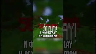 Антипиратский майнкрафт 