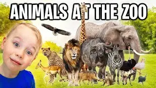 Gaby and Alex visiting ZOO ANIMALS (For Kids)