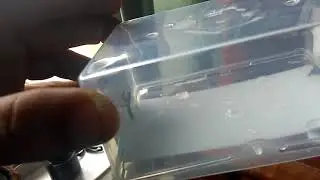 pray mantis vs liquid water