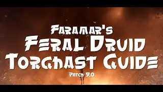Feral Druid Torghast Guide