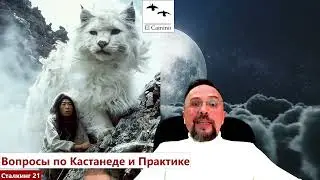 Кастанеда БЫЛ ШАЛУН