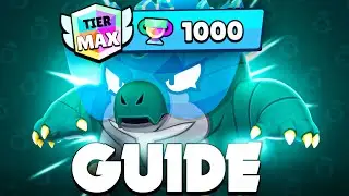 The Only BUZZ Guide You