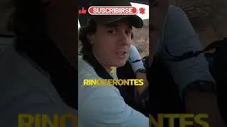 🐘🦒 RODEADO de ANIMALES SALVAJES 🦓 🦅 Safari Fotográfico por el Mundo 🌍 Parte 7 #shorts