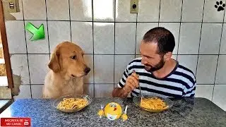 Desafio..Quem termina de comer primeiro??? Who finished eating first???