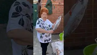 Какая рыбина!